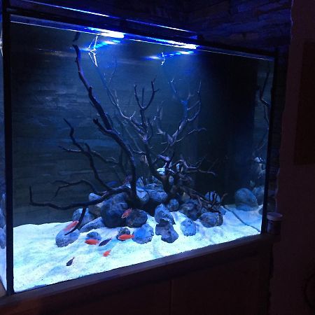 Aquarium House Lägenhet Sesimbra Exteriör bild