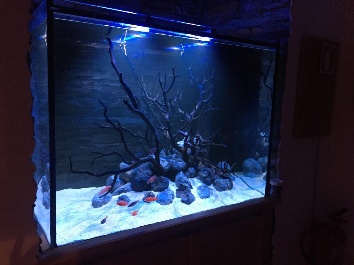 Aquarium House Lägenhet Sesimbra Exteriör bild